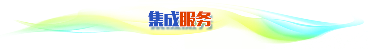 集成服務